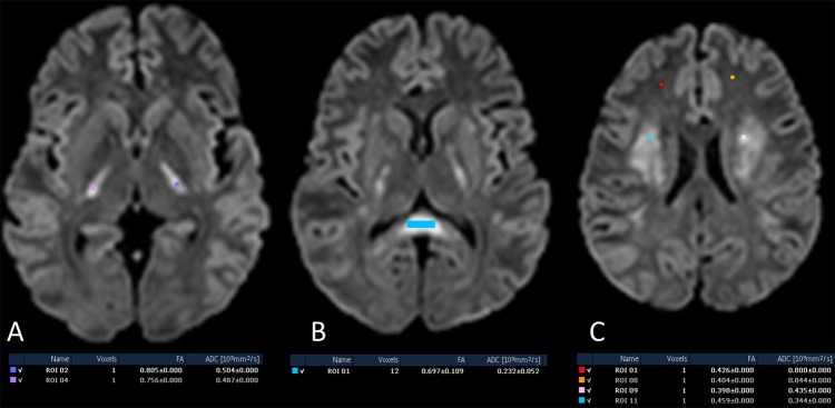 Figure 3