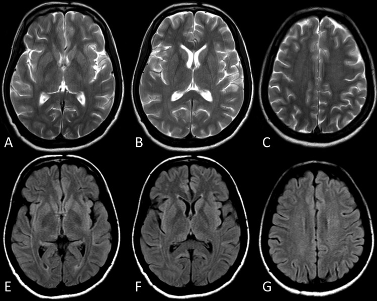 Figure 5