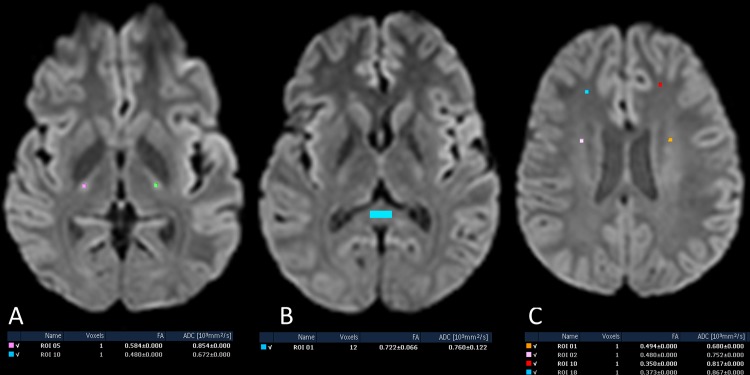 Figure 6