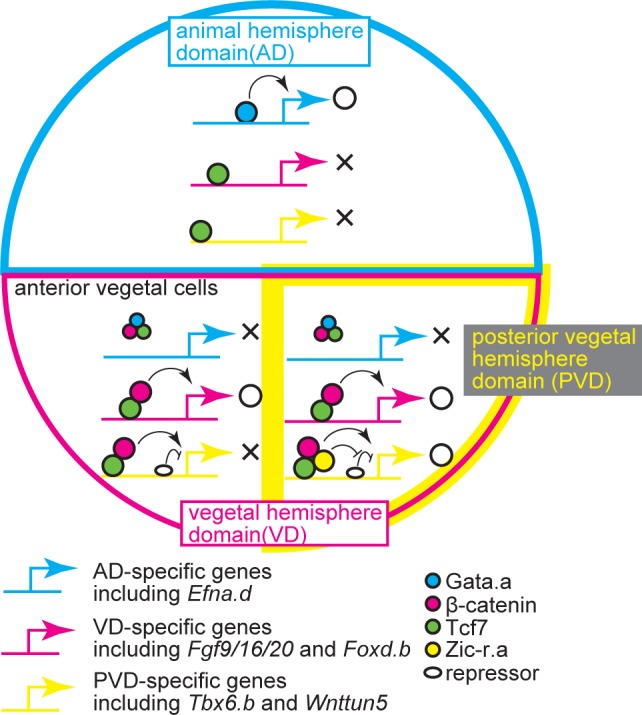 Fig 9