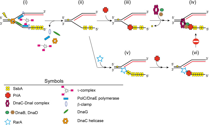 Figure 7.