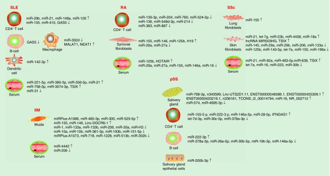 Figure 1. 