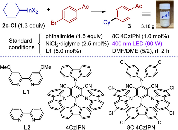 graphic file with name d4sc08521c-u2.jpg