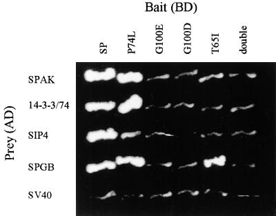 Figure 6.