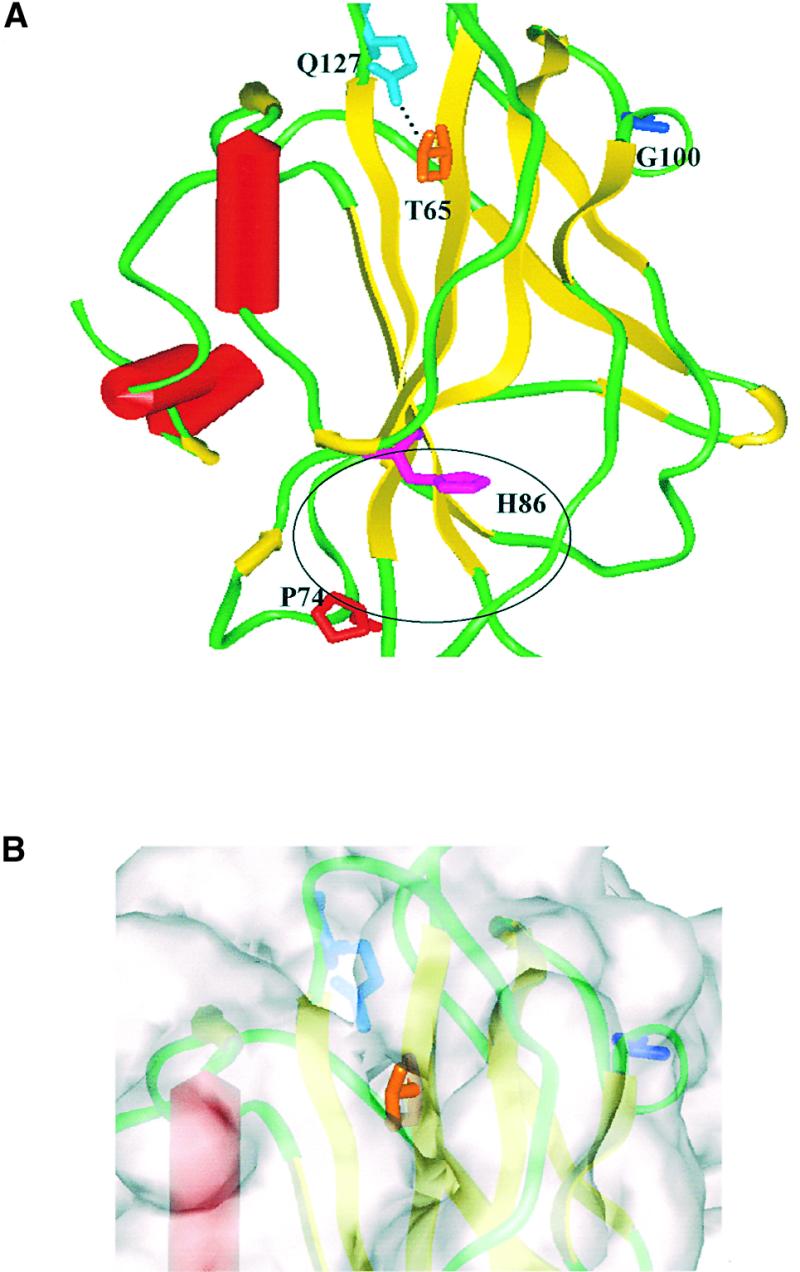 Figure 7.