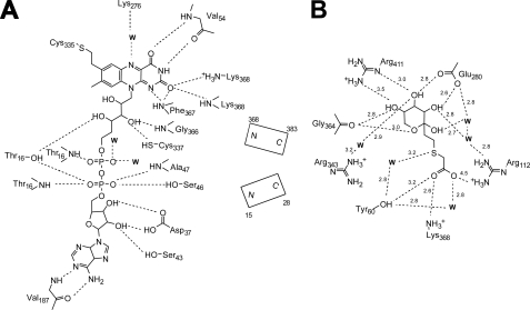 FIGURE 3.