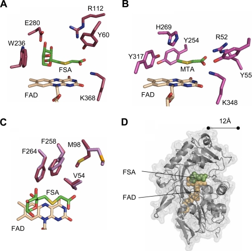 FIGURE 4.