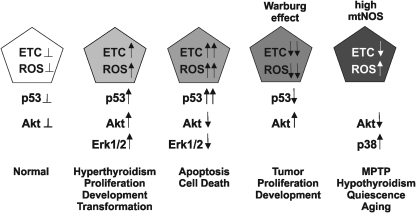 FIG. 4.