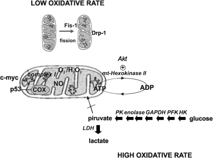 FIG. 7.