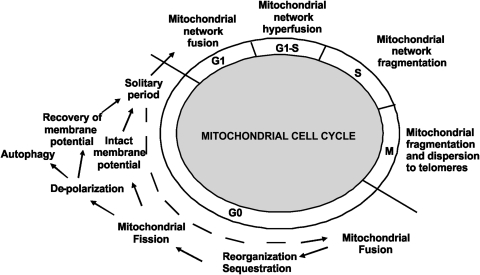 FIG. 13.