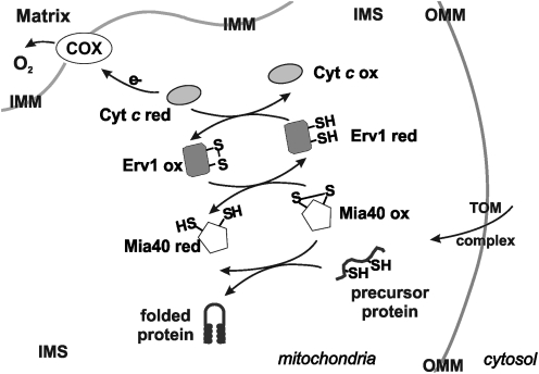 FIG. 3.