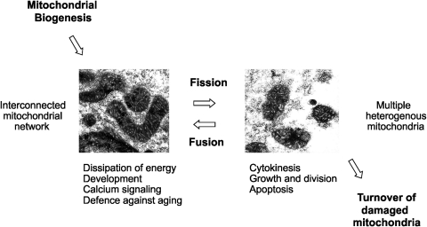 FIG. 12.