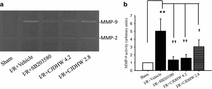 Fig. 8