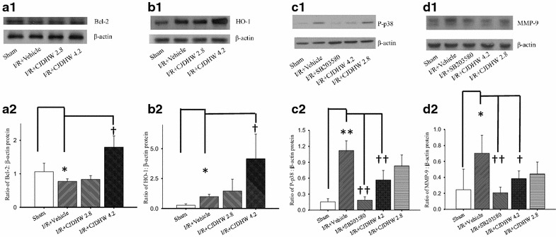 Fig. 7