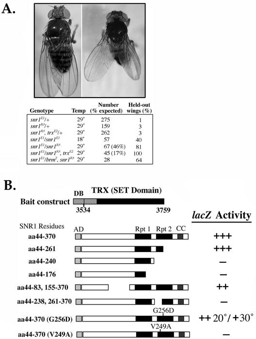 FIG. 8.