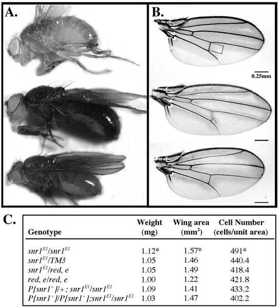 FIG. 9.