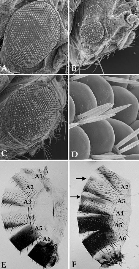 FIG. 5.