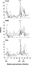 FIG. 3.