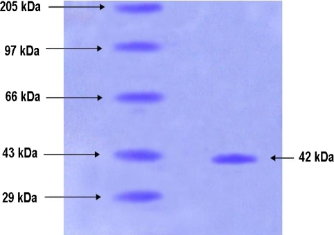 Fig. 3