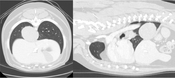 FIGURE 3