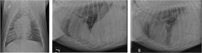 FIGURE 1