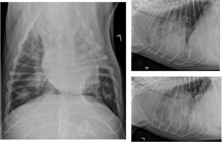FIGURE 4