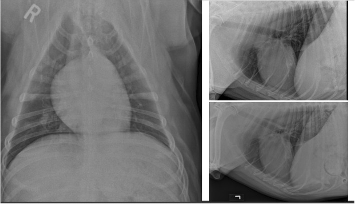FIGURE 2