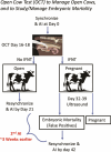 Graphical Abstract
