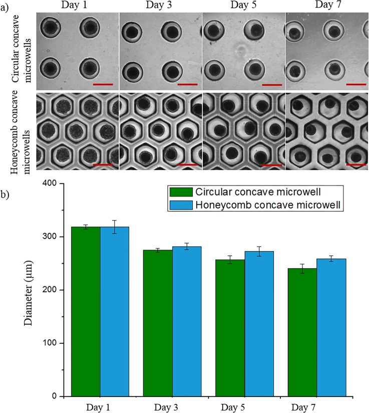 Fig 6