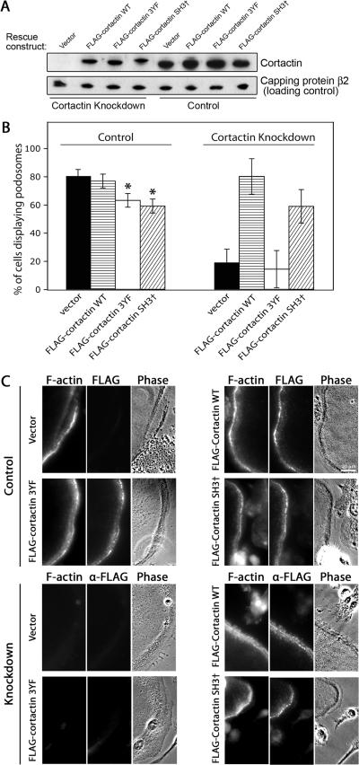 Figure 10.