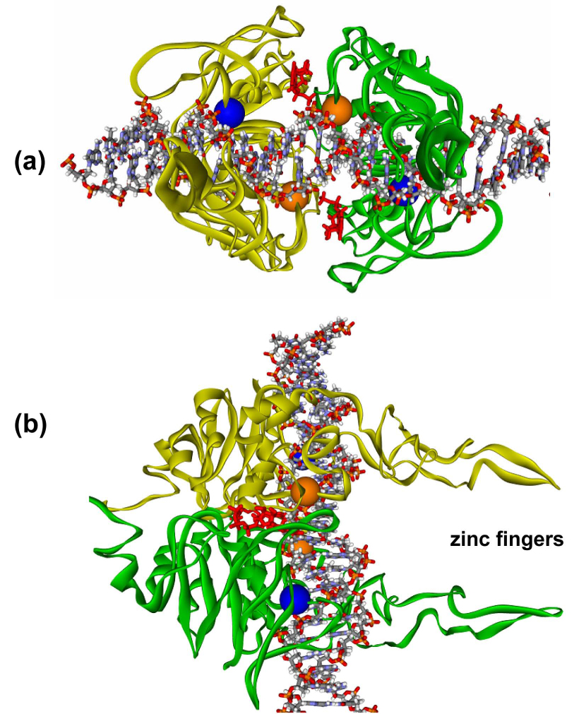 Fig. 9