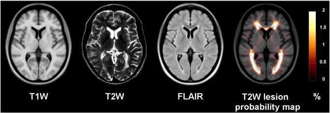 Fig. 3