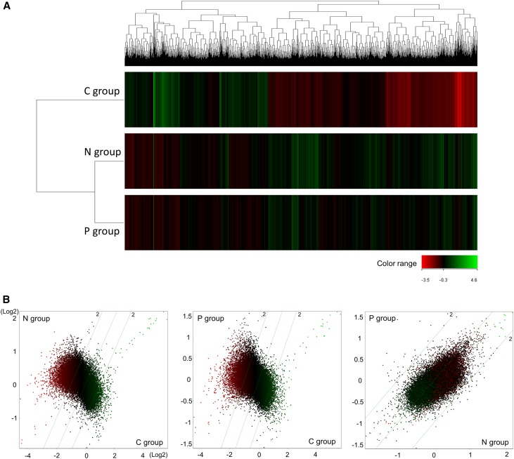 Figure 3.