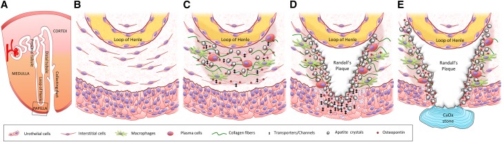 Figure 9.