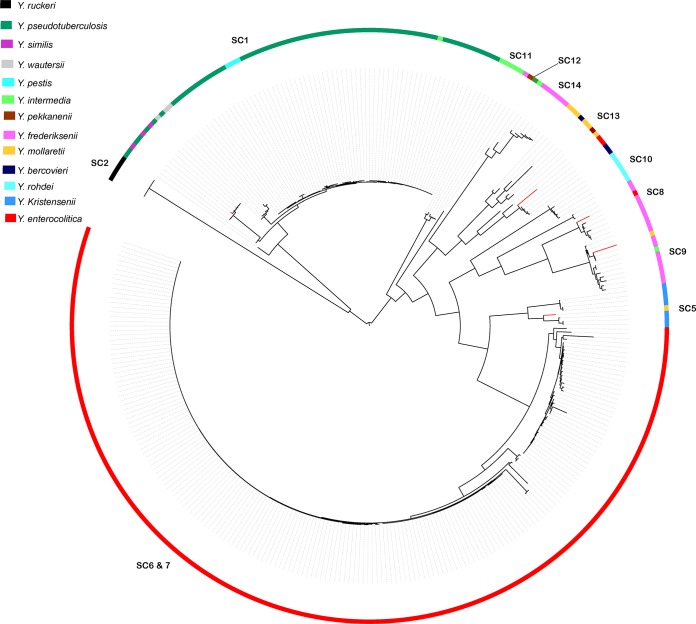 FIG 3