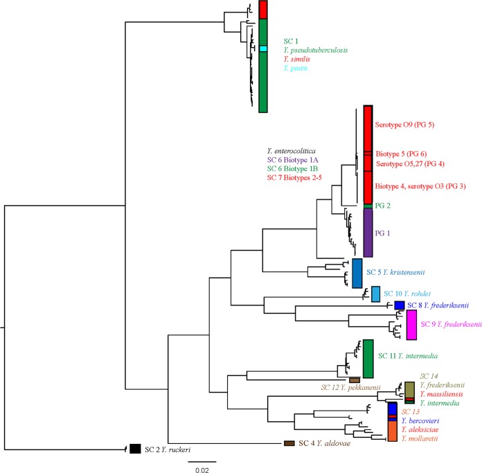 FIG 2