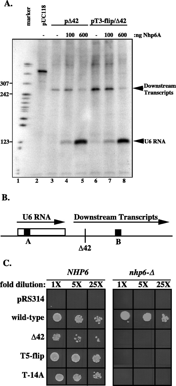 FIG. 8