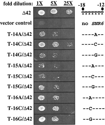 FIG. 3