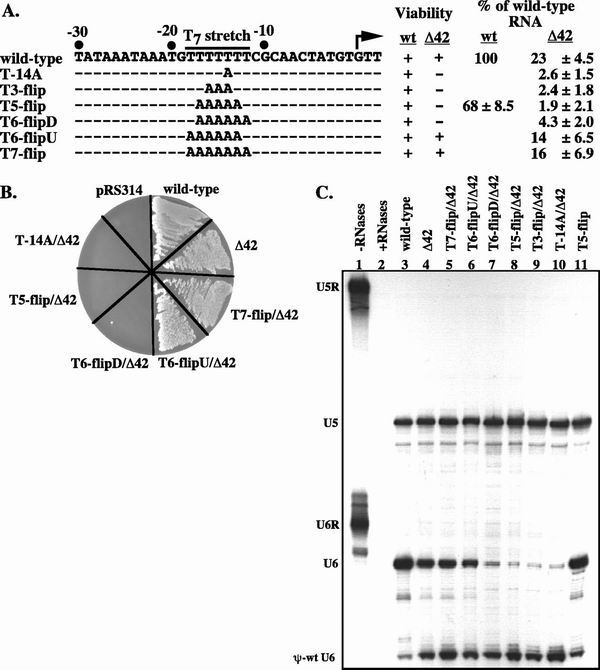 FIG. 4