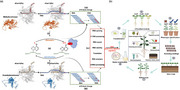 graphic file with name ADVS-11-2401118-g005.jpg