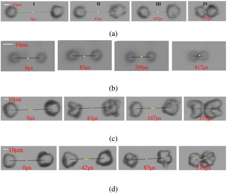 Fig. 10