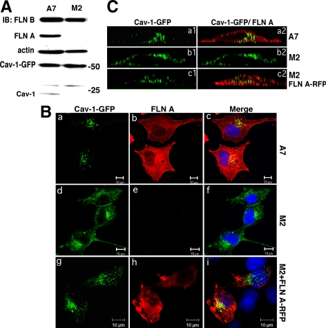 Figure 6.