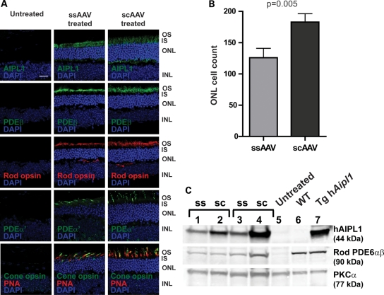 Figure 3.