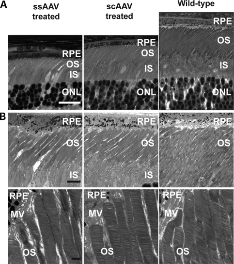 Figure 4.