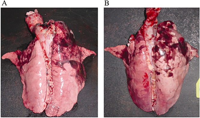 FIG 2