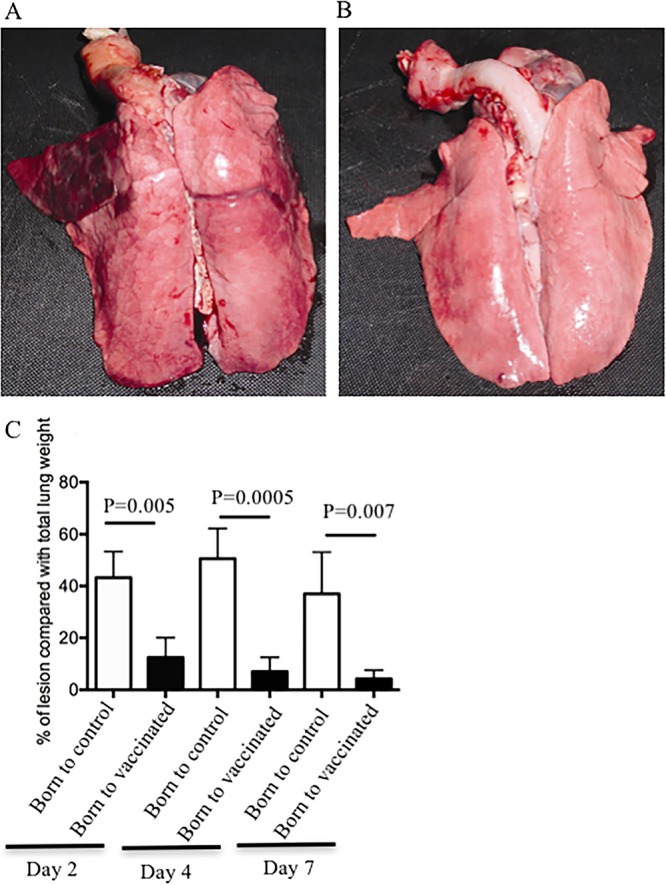 FIG 10