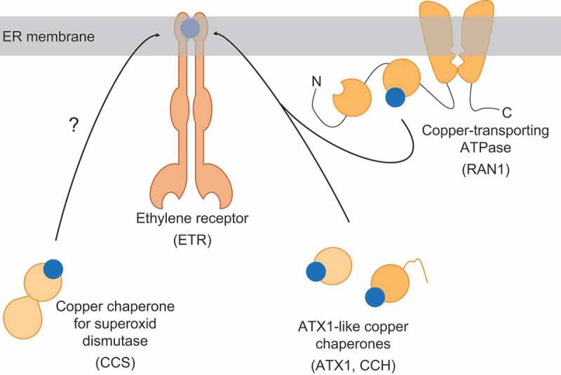 Figure 1.