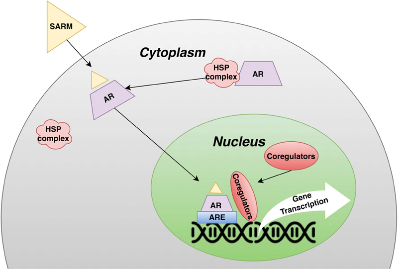 Figure 1: