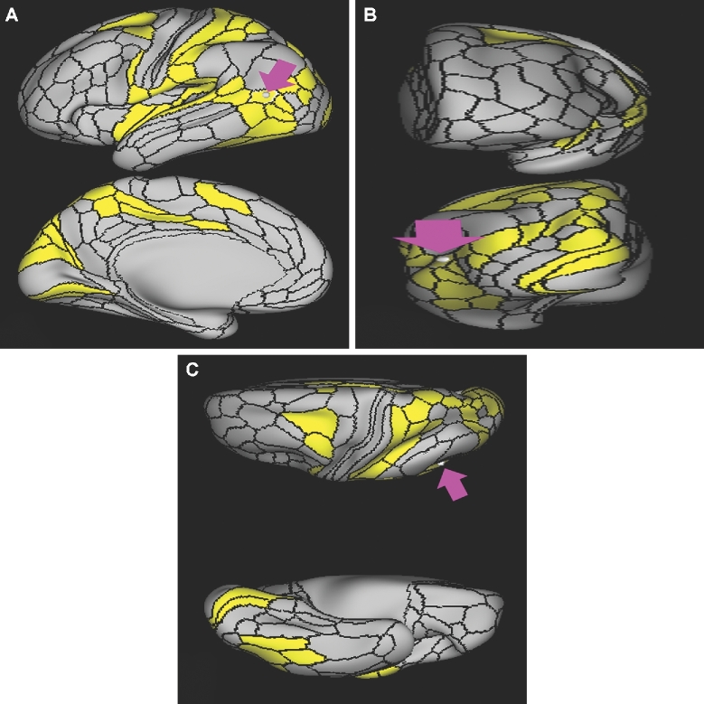 FIGURE 19.