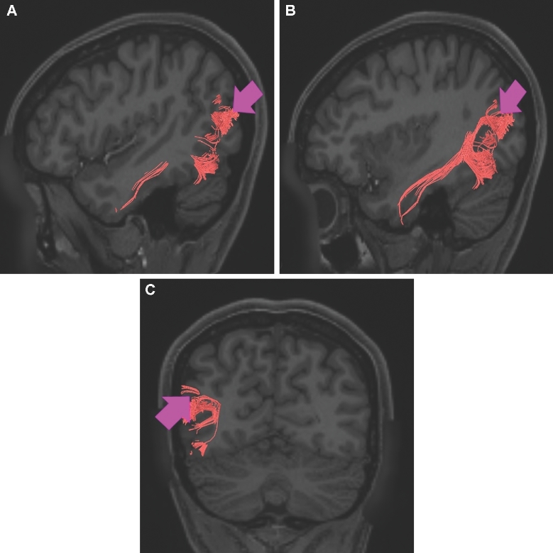 FIGURE 22.